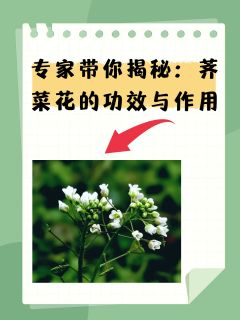 专家带你揭秘：荠菜花的功效与作用