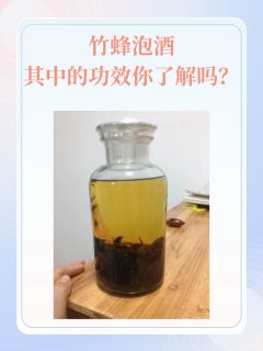 竹蜂泡酒：其中的功效你了解吗？