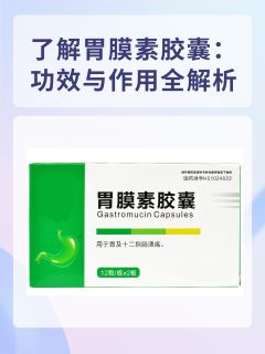 了解胃膜素胶囊：功效与作用全解析