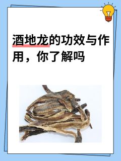 酒地龙的功效与作用，你了解吗