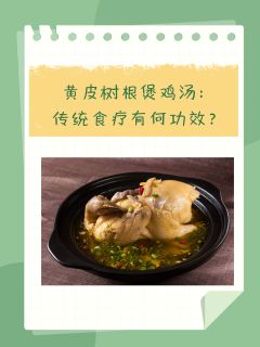 黄皮树根煲鸡汤：传统食疗有何功效？