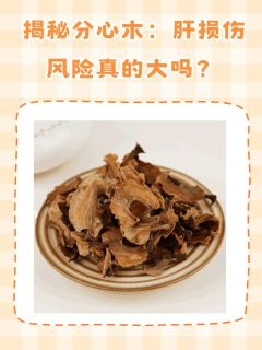 揭秘分心木：肝损伤风险真的大吗？