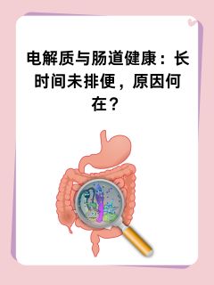 电解质与肠道健康：长时间未排便，原因何在？