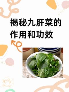 揭秘九肝菜的作用和功效