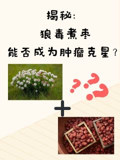 揭秘：狼毒煮枣能否成为肿瘤克星？