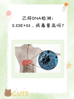 乙肝DNA检测：2.52E+03，病毒量高吗？