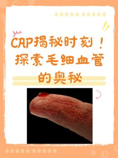 CAP揭秘时刻！探索毛细血管的奥秘