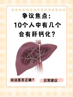 争议焦点：10个人中有几个会有肝钙化？