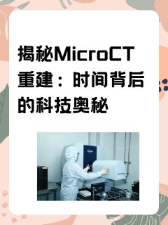 揭秘MicroCT重建：时间背后的科技奥秘