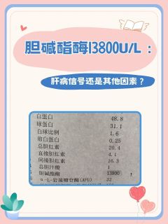 胆碱酯酶13800U/L：肝病信号还是其他因素？