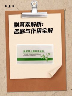 副肾素解析：名称与作用全解