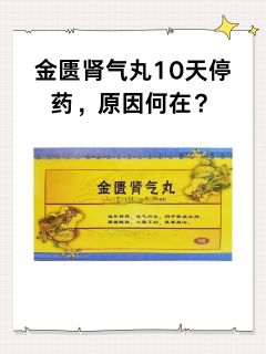 金匮肾气丸10天停药，原因何在？