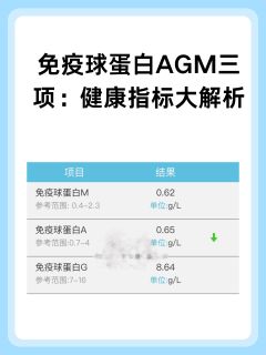 免疫球蛋白AGM三项：健康指标大解析