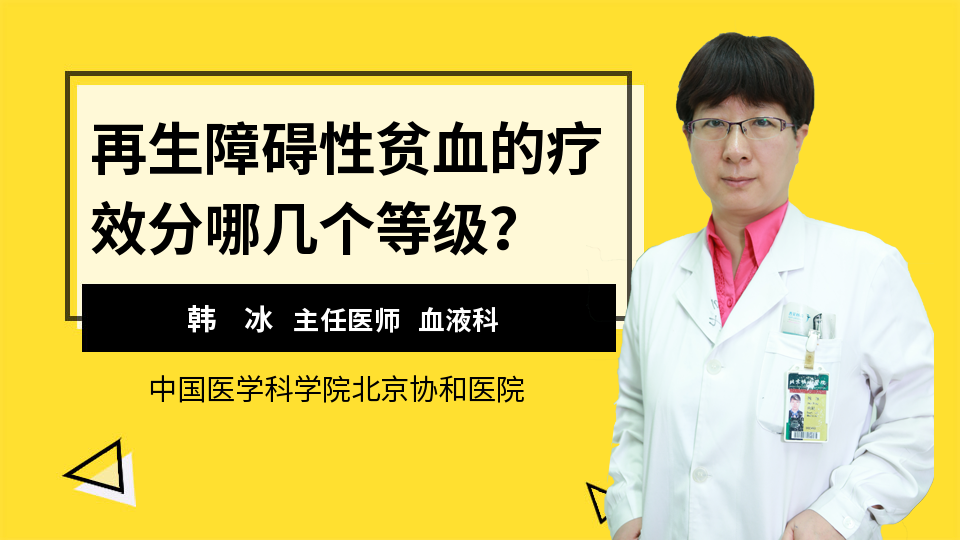 再生障碍性贫血的疗效分哪几个等级？