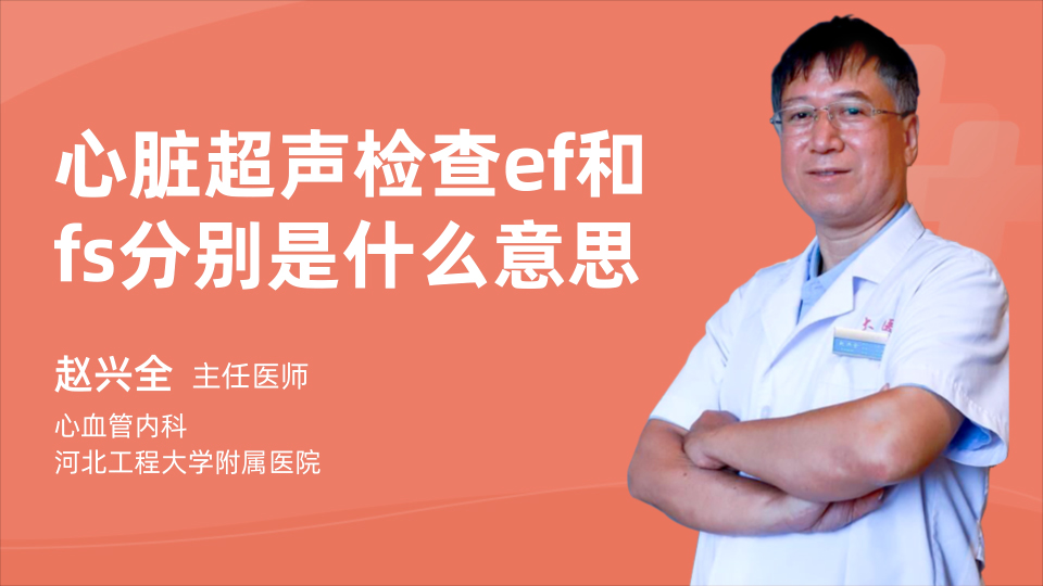 心脏超声检查ef和fs分别是什么意思