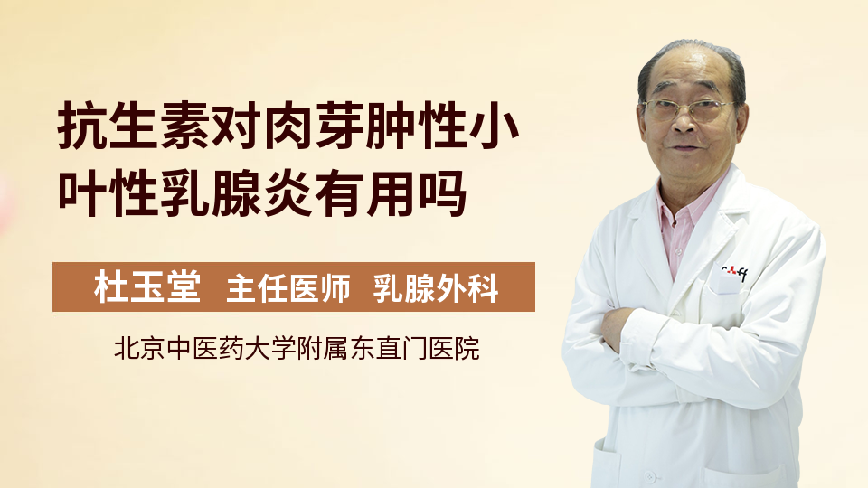 抗生素对肉芽肿性小叶性乳腺炎有用吗