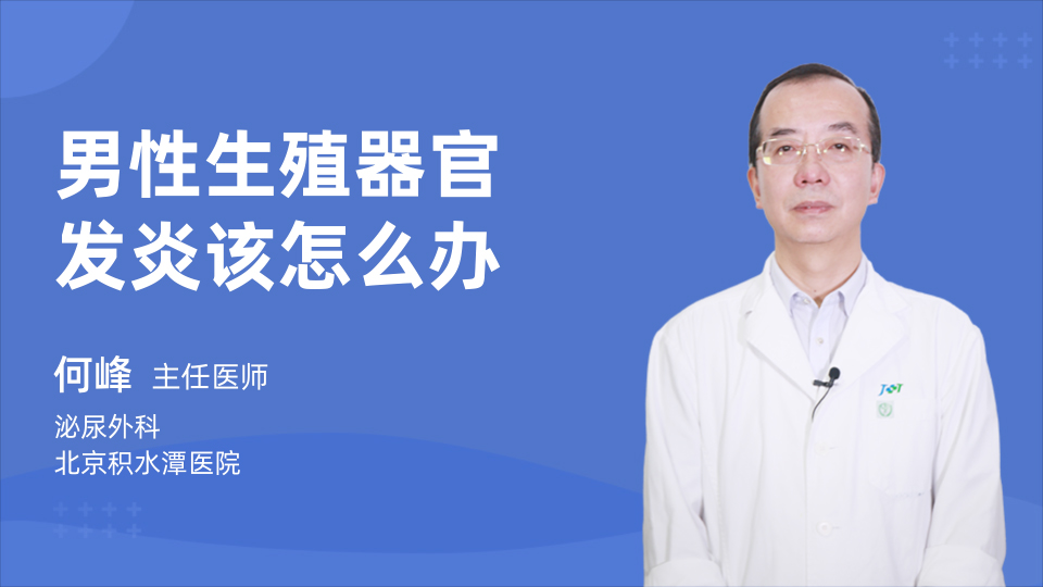 男性生殖器官发炎该怎么办