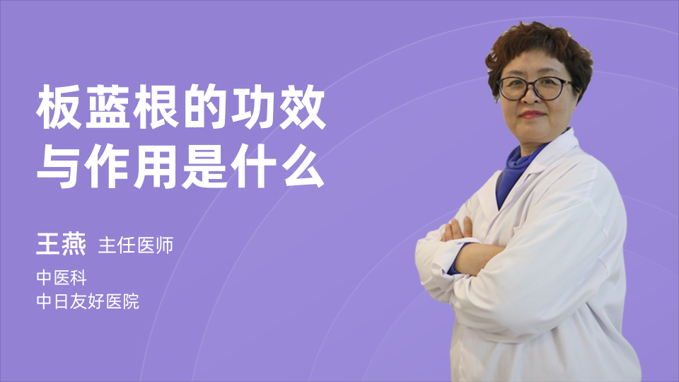 板蓝根的功效与作用是什么