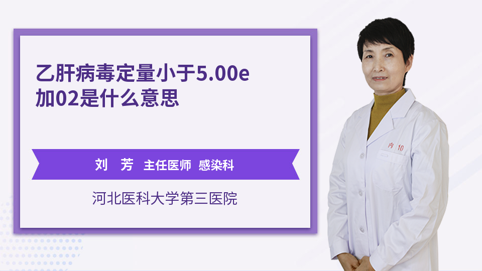 乙肝病毒定量<5.00e+02是什么意思