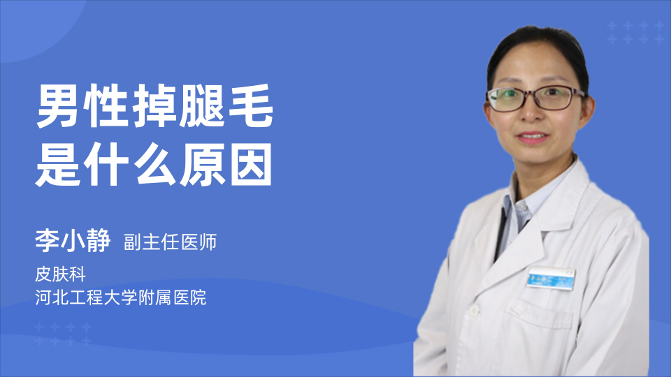 男性掉腿毛是什么原因